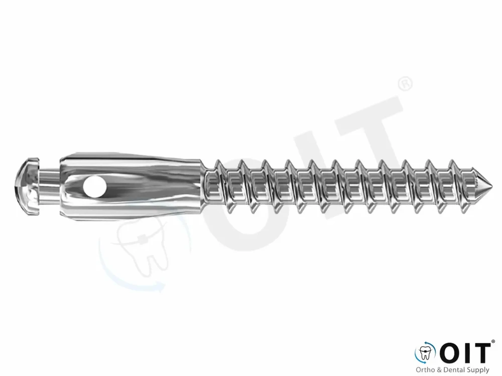 Tad VL With Button Head 2mm 8 mm Long 1 stuk, Leone, Low Head Self Drilling